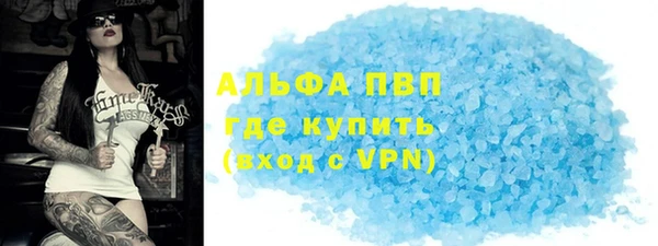 стаф Алексин