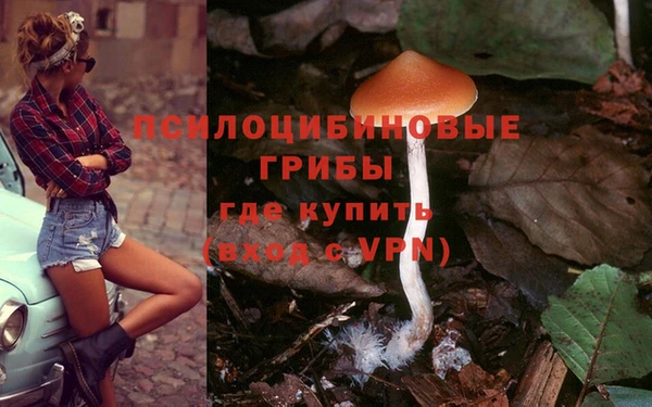 ешки Алзамай