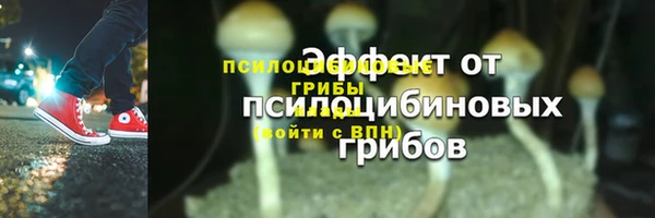 ешки Алзамай
