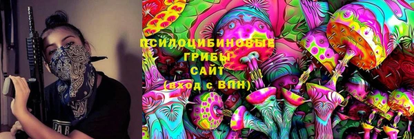 стаф Алексин