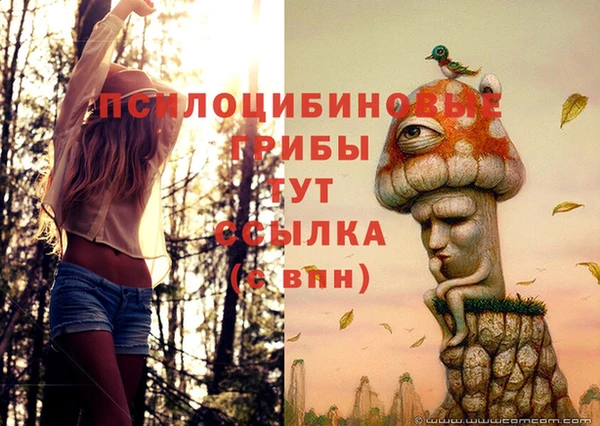 jwh Няндома