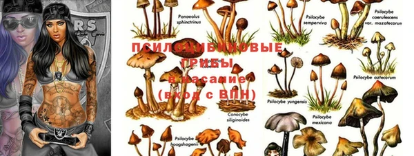 PSILOCYBIN Абаза