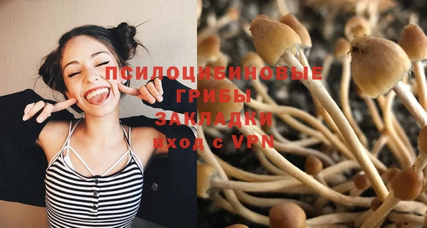ешки Алзамай